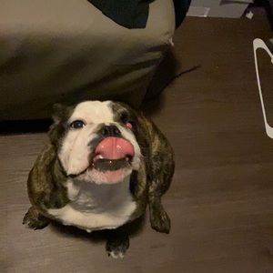 Meet your Posher, Tyler